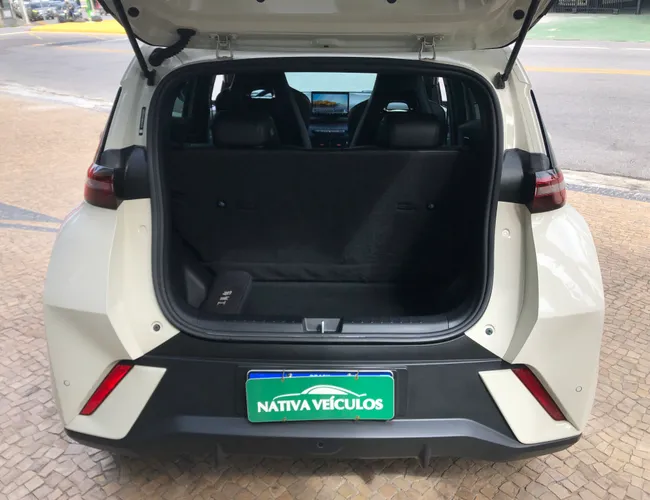 Imagem 12 – Dolphin Mini 2024 38 Kw Elétrico