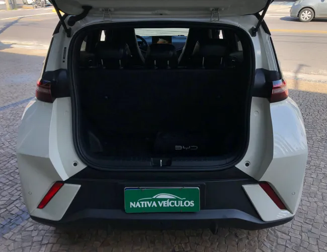 Imagem 11 – Dolphin Mini 2026 38 Kw Elétrico Gs