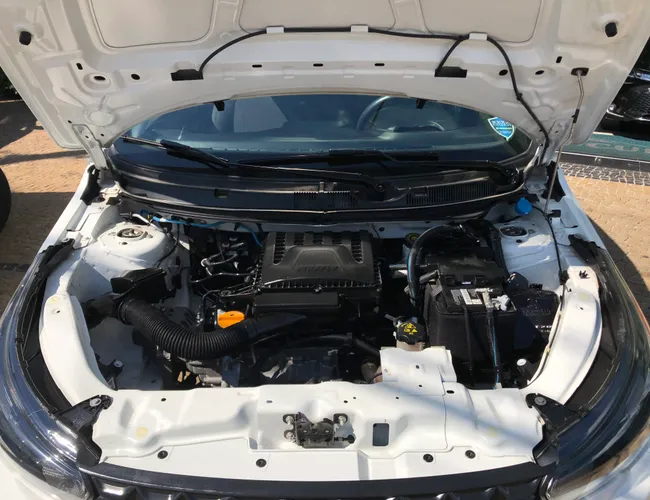 Imagem 17 – Argo 2021 1.0 Firefly Flex Manual