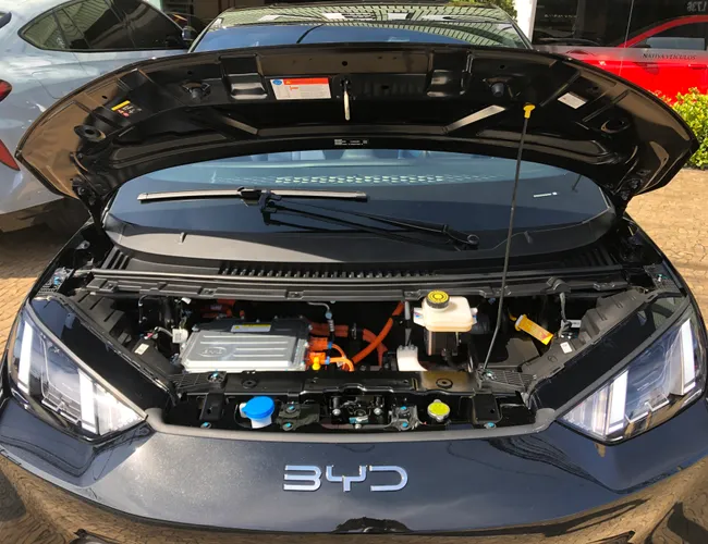 Imagem 15 – Dolphin Mini 2027 38 Kw Elétrico Gs