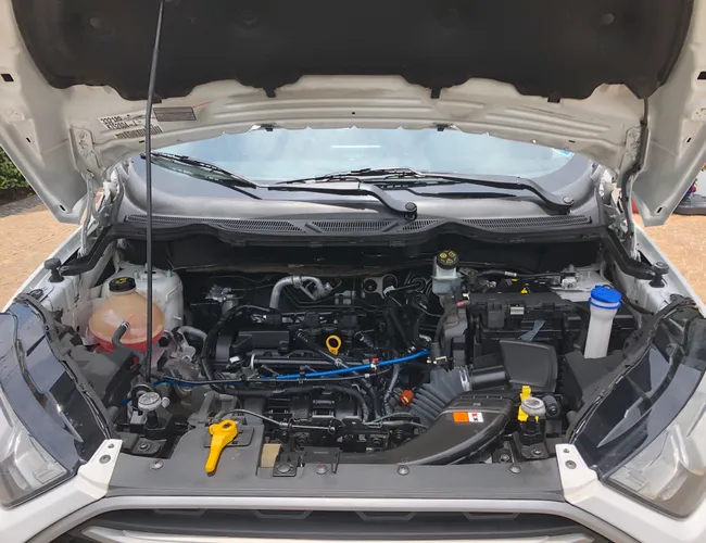 Imagem 16 – Ecosport 2019 1.5 Ti-Vct Flex Se Direct Automático