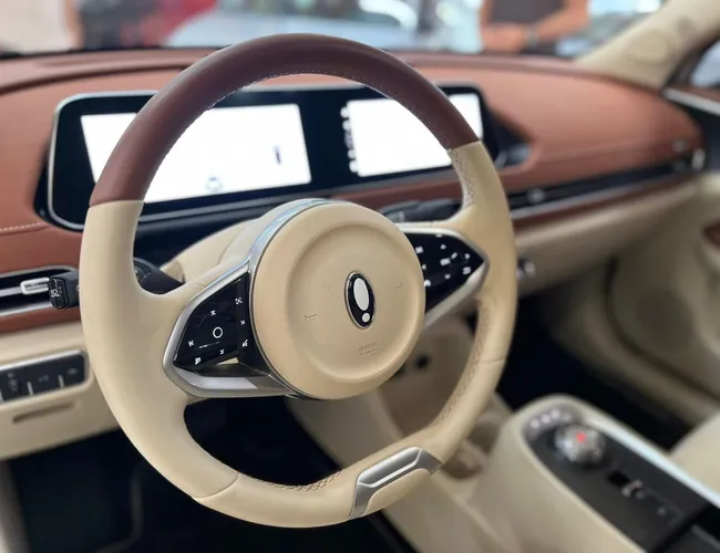 Imagem 6 – Ora 03 2025 48 Kw Elétrico Skin