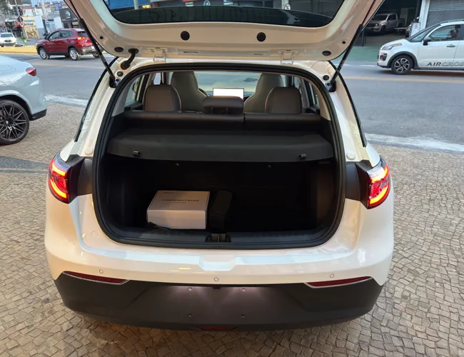 Imagem 13 – Ex2 2026 39,4 Kw Elétrico Max
