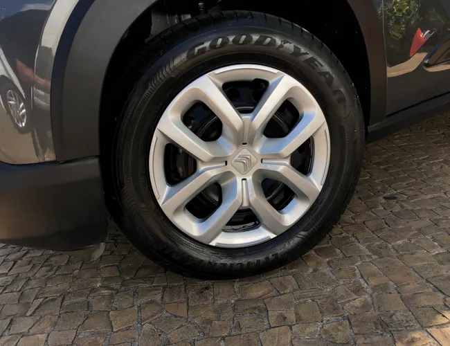 Imagem 5 – C3 2023 1.0 Firefly Flex Live Pack Manual