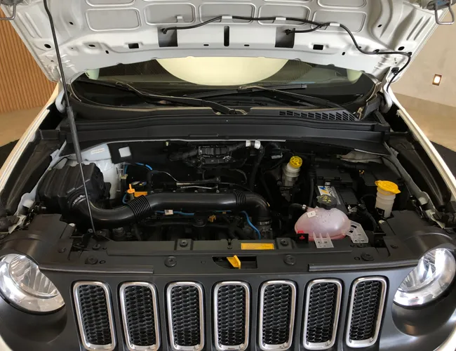 Imagem 15 – Renegade 2018 1.8 16V Flex Longitude 4P Automático