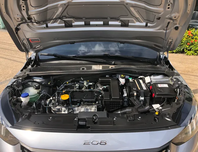 Imagem 16 – 208 2023 1.0 Firefly Flex Style Manual