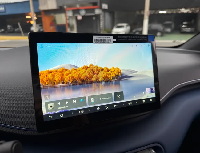 Imagem 13 – Dolphin Mini 2027 38 Kw Elétrico Gs