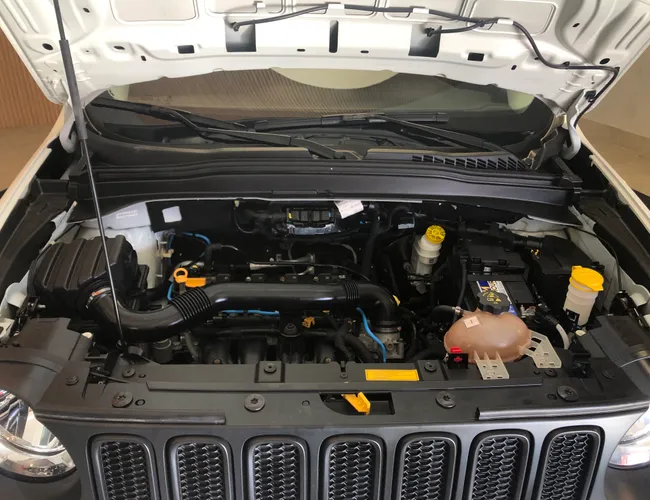 Imagem 15 – Renegade 2018 1.8 16V Flex 4P Automático