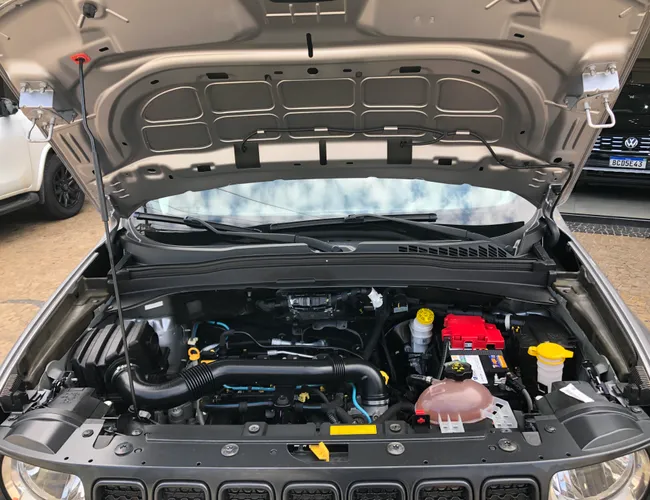 Imagem 14 – Renegade 2020 1.8 16V Flex 4P Automático