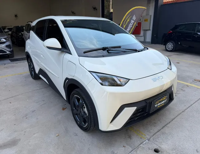 Imagem 5 – Dolphin Mini 2025 38 Kw Elétrico