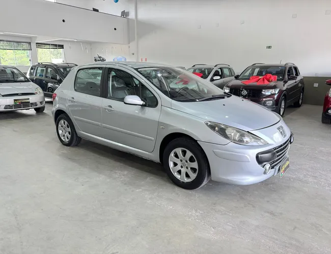 Imagem 13 – 307 2007 2.0 Feline 16V Flex 4P Automático