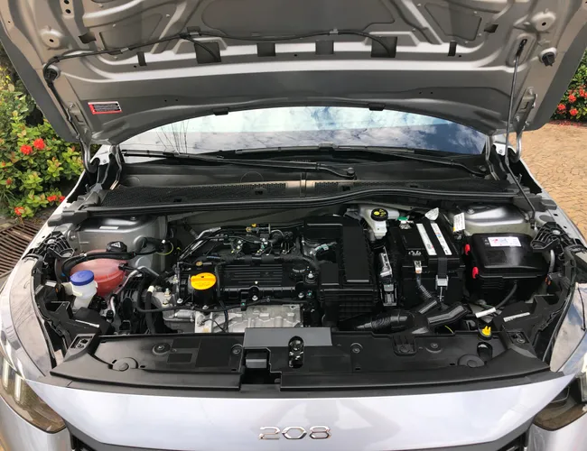 Imagem 17 – 208 2024 1.0 Firefly Flex Style Manual