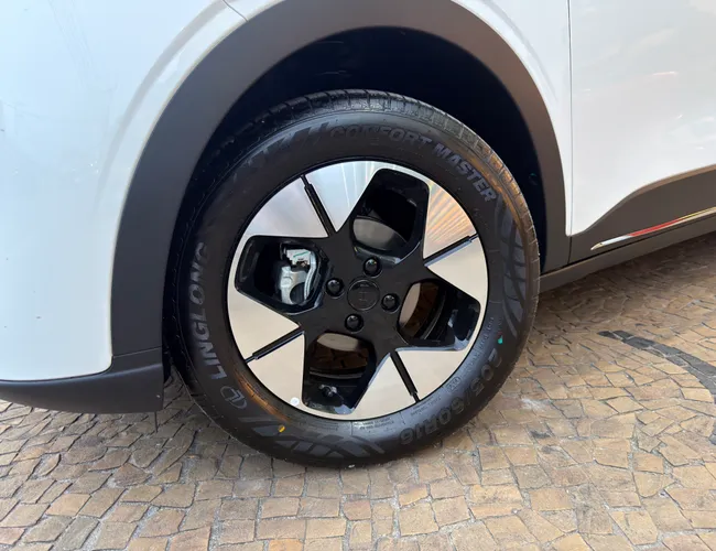 Imagem 5 – Ex2 2026 39,4 Kw Elétrico Max