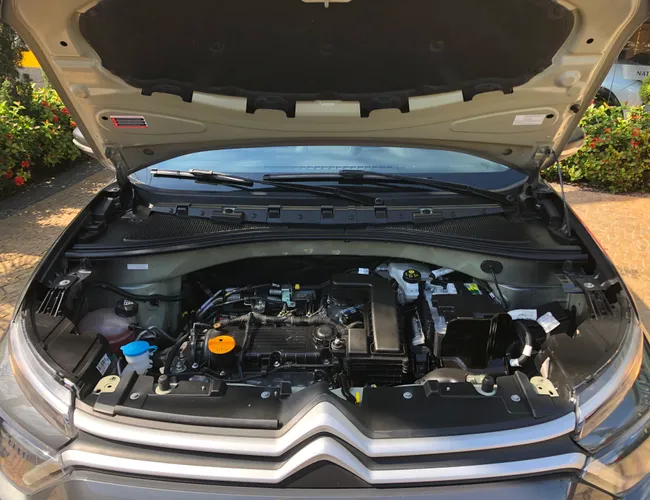 Imagem 16 – C3 2023 1.0 Firefly Flex Live Pack Manual