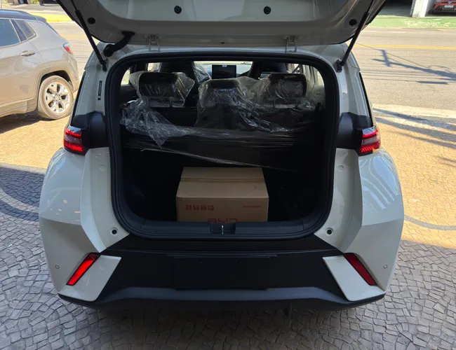 Imagem 11 – Dolphin Mini 2027 38 Kw Elétrico Gs