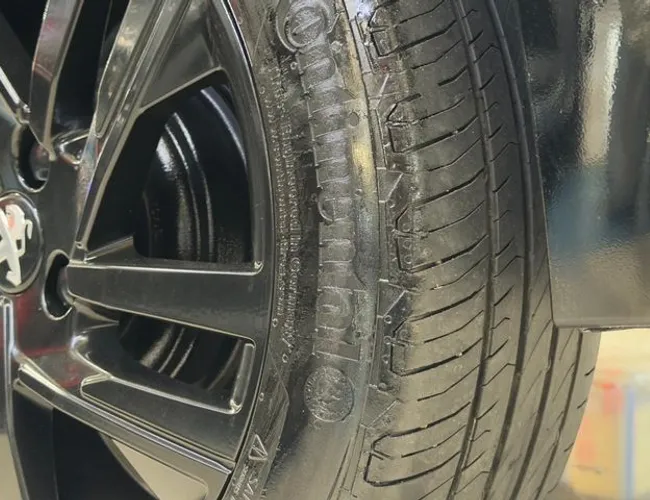 Imagem 23 – 208 2024 1.0 Firefly Flex Style Manual