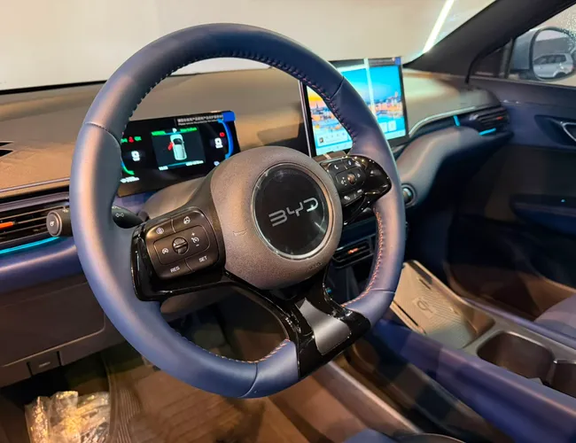 Imagem 14 – Dolphin Mini 2027 38 Kw Elétrico Gs