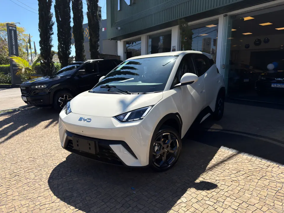 Byd Dolphin Mini — foto 1