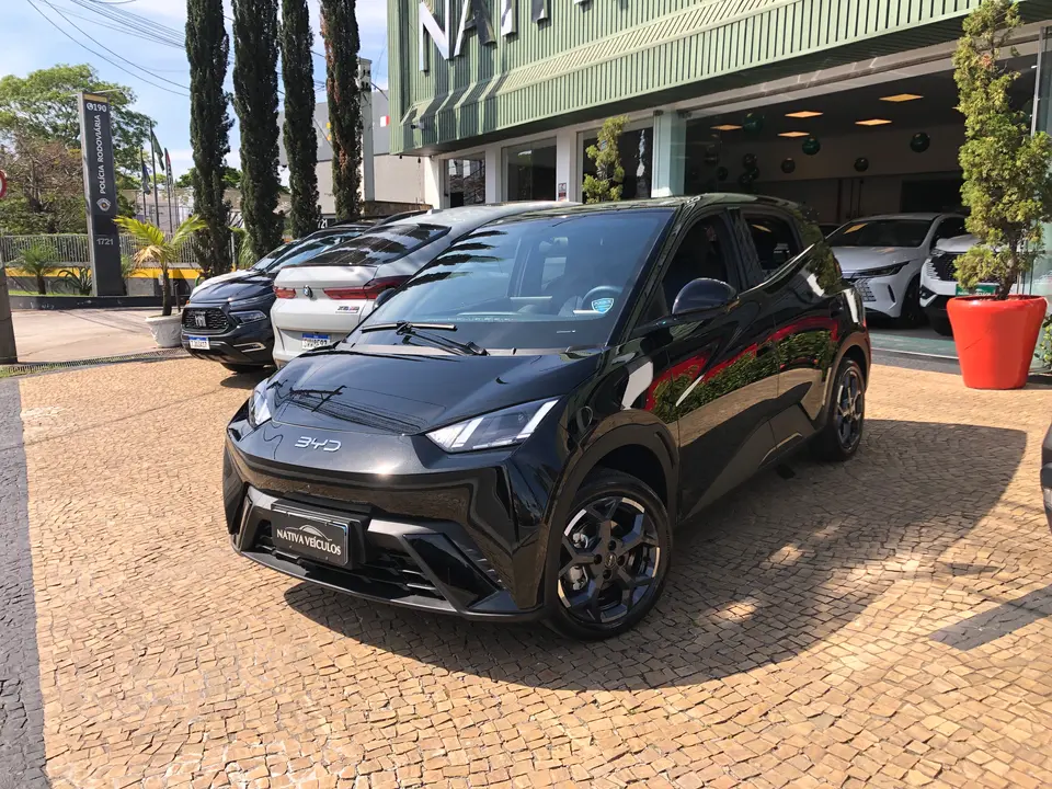 Byd Dolphin Mini — foto 1